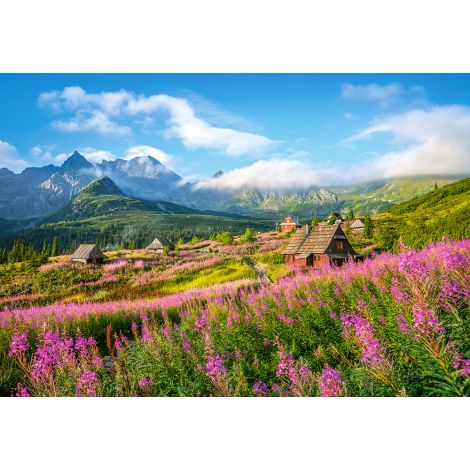 Puzzle Castorland 1000el Hala Gąsienicowa, Polska - 2